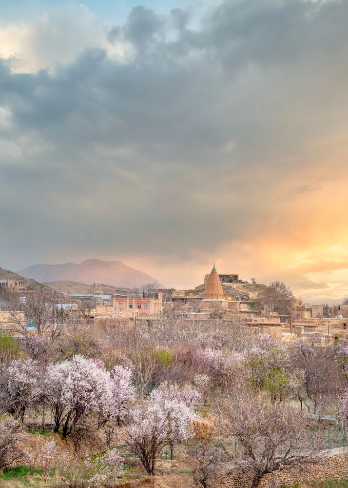 Photograph by masoud haghani