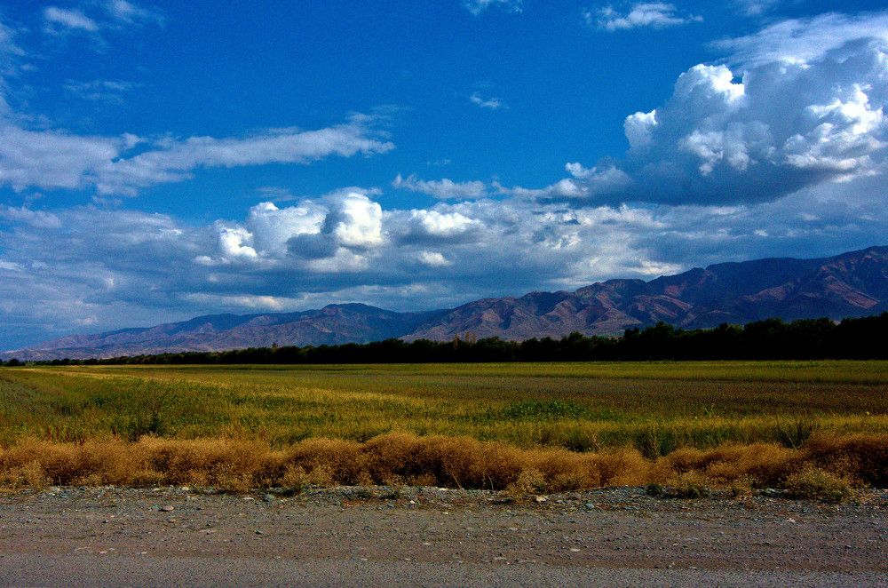 Photograph by Marina Weiland