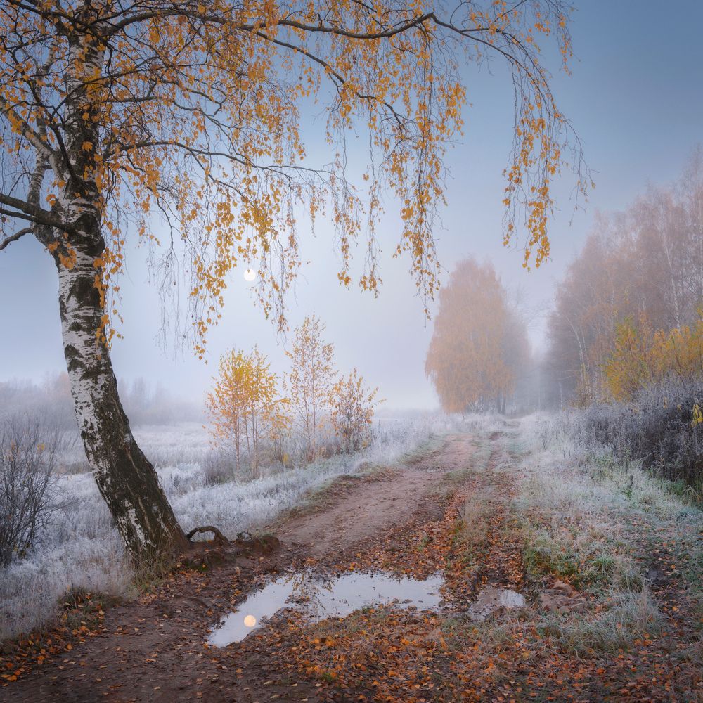 Photograph by Дмитрий Медянцев