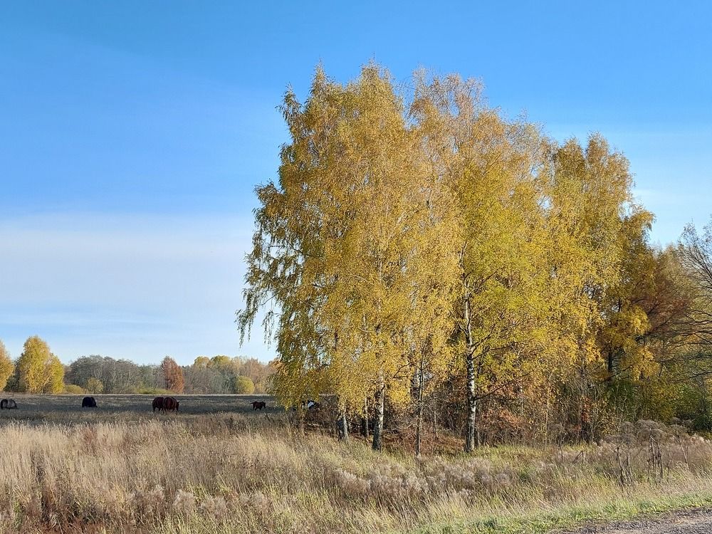Photograph by Галина Маркова