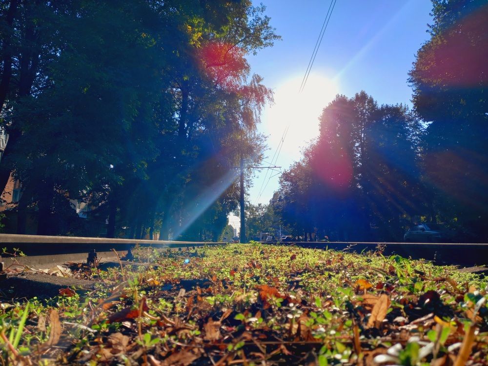 Photograph by Марина Храпова