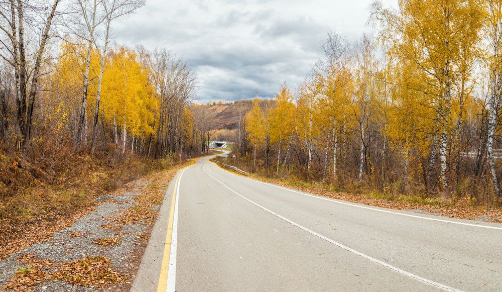 Photograph by Александр Лапшин