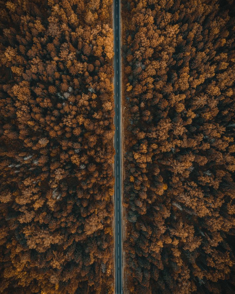 Photograph by Максим Савватеев