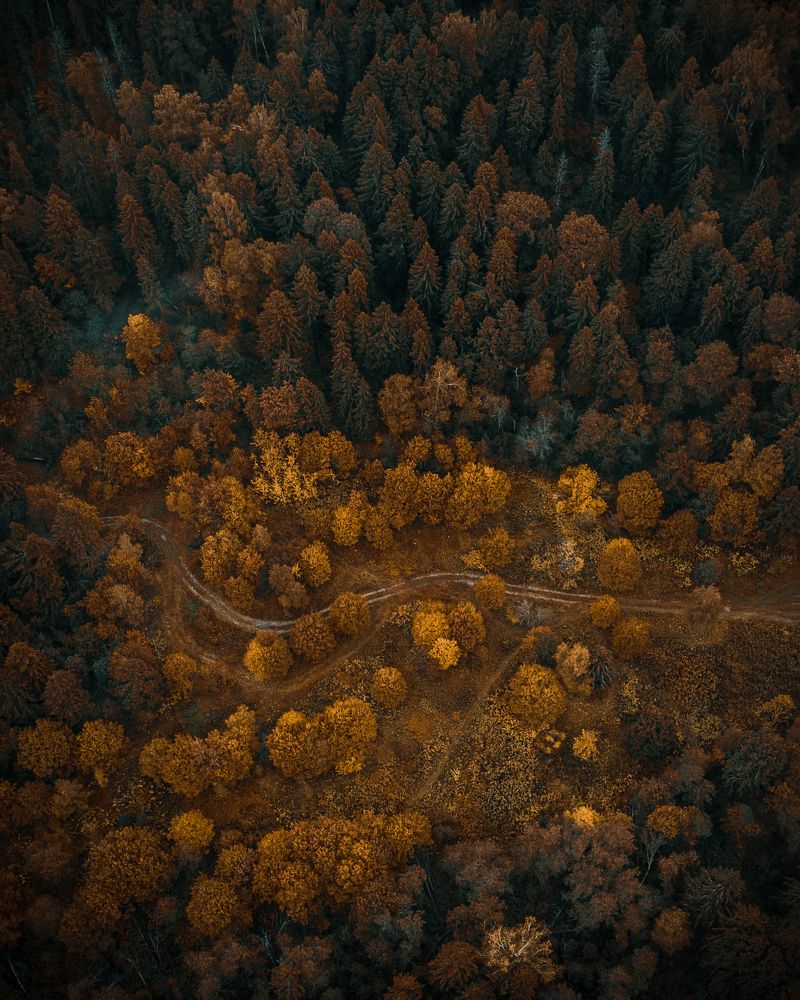 Photograph by Максим Савватеев