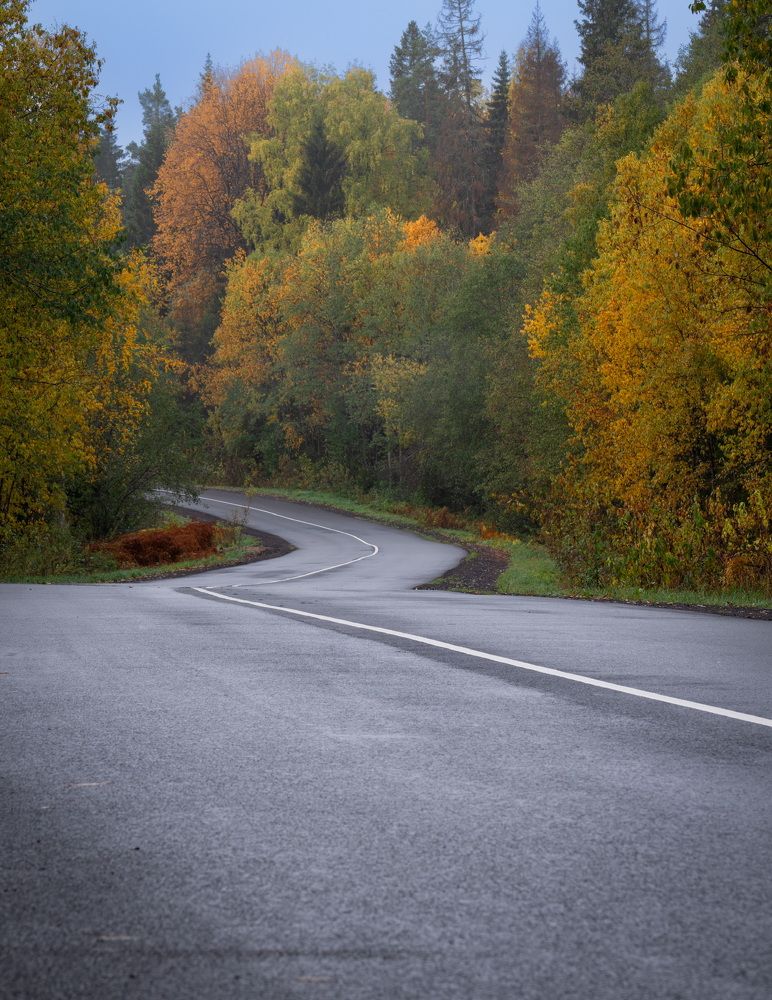 Photograph by Artem Zykin