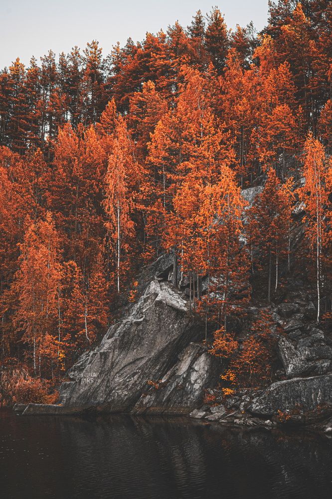 Photograph by Artem Zykin