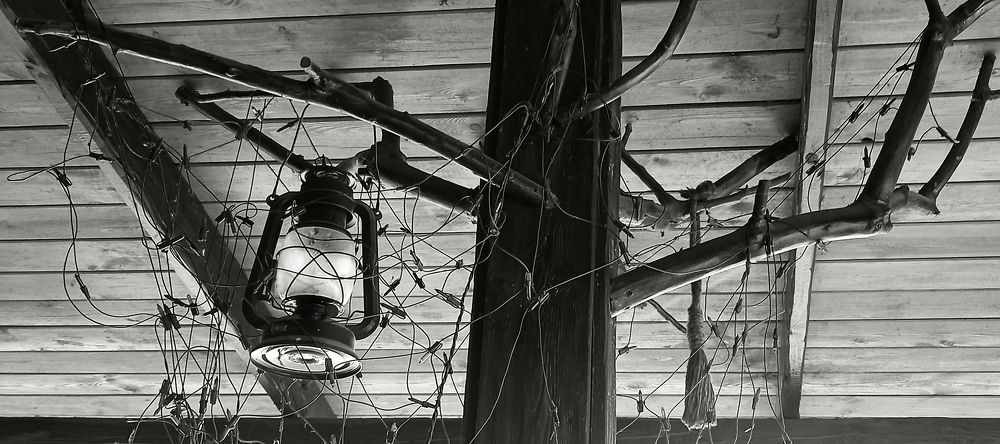 Photograph by Ирина Архипова