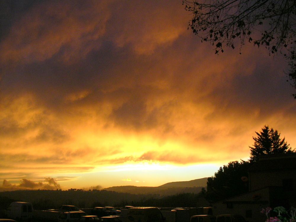 Photograph by Ирина Федичева