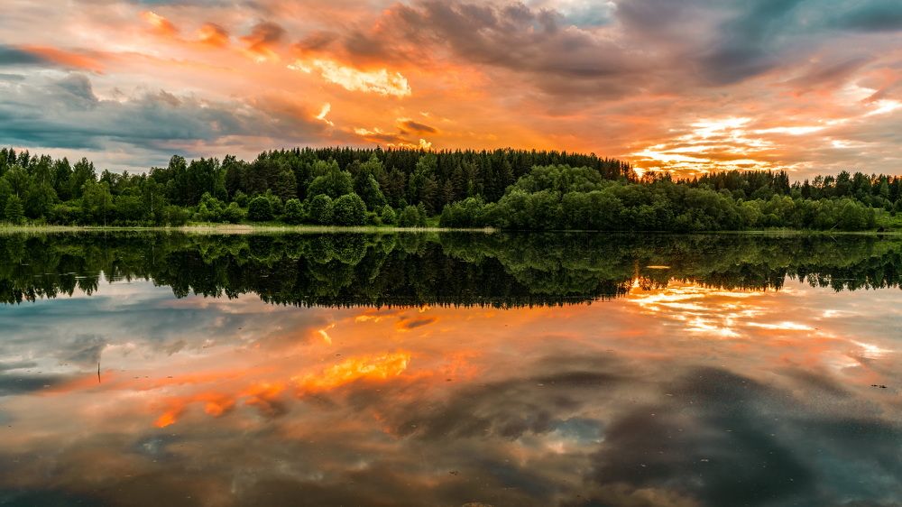 Photograph by Artem Zykin