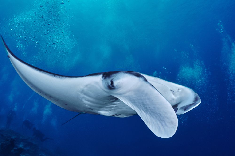 Photograph by Андрей Данильченко