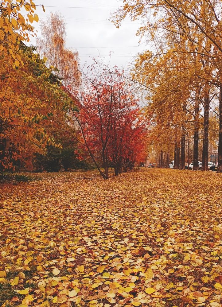 Photograph by Татьяна Мыгакова