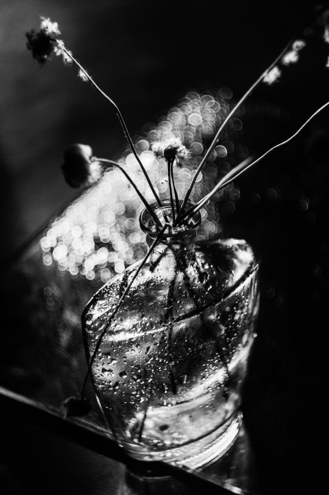 Photograph by Евгения Кинжакова