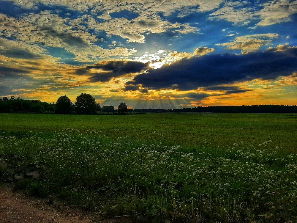 Photograph by Ирина Лучинская