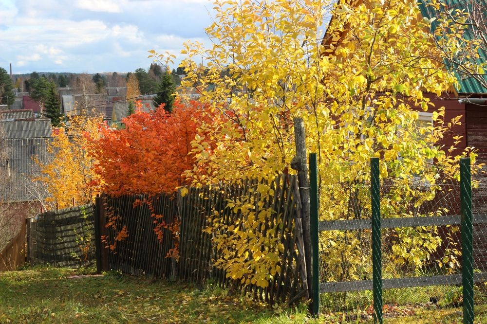 Photograph by Елена Петрова