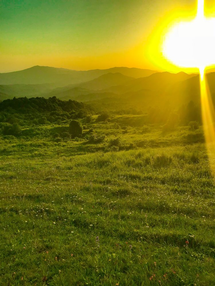 Photograph by Елена Сиушова