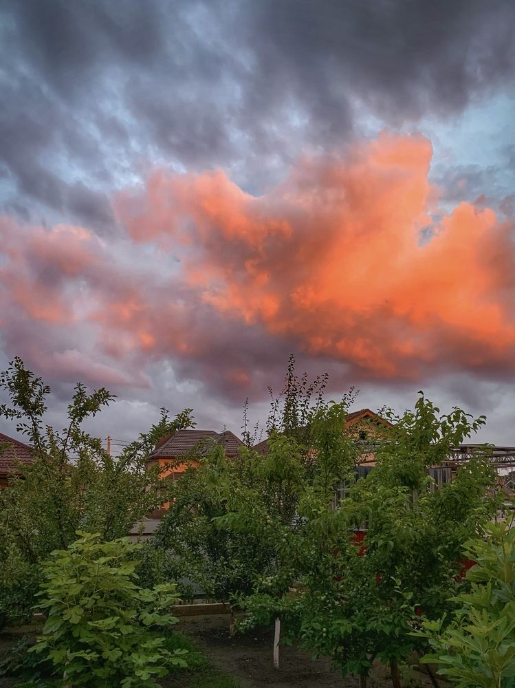 Photograph by Татьяна Семёнова