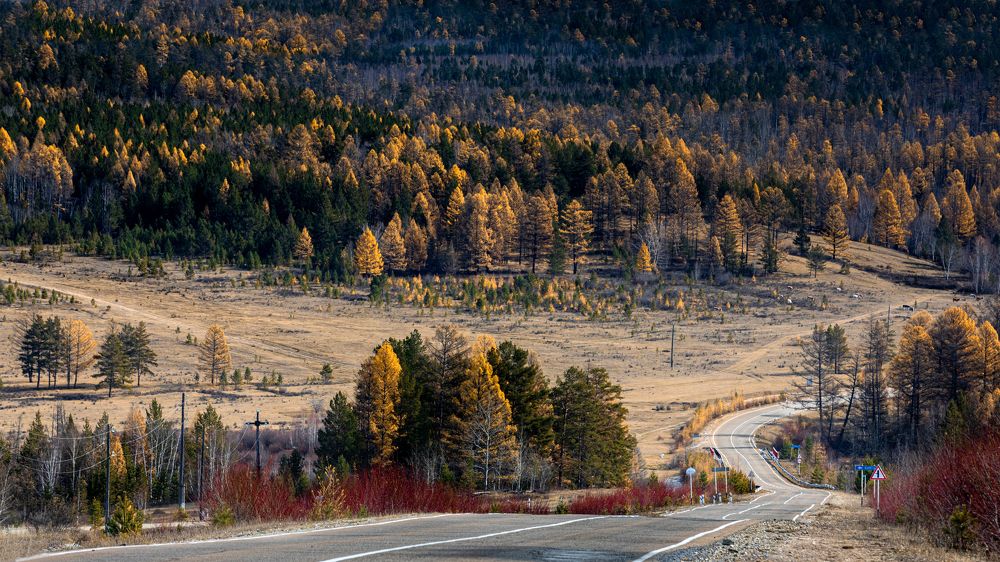 Photograph by Roman Bevzenko