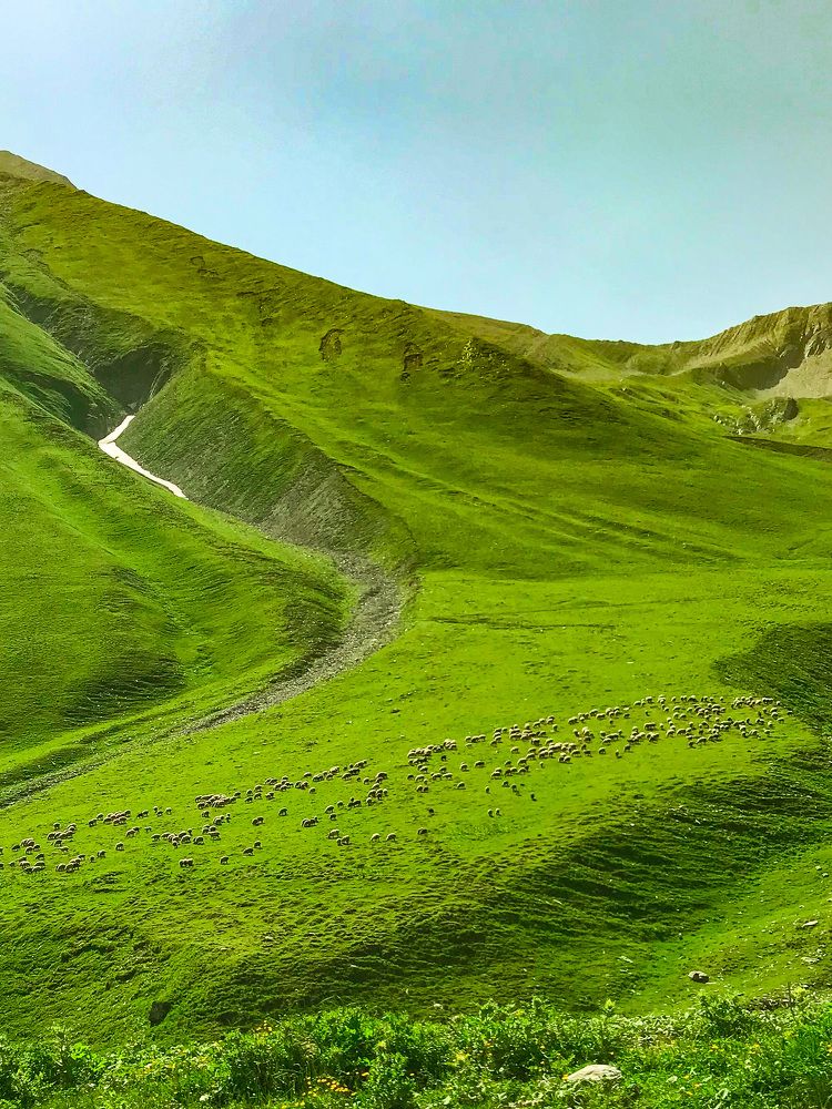 Photograph by Елена Сиушова