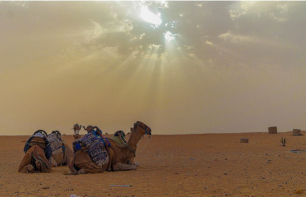 Фотография автора Юрий Цыркунов