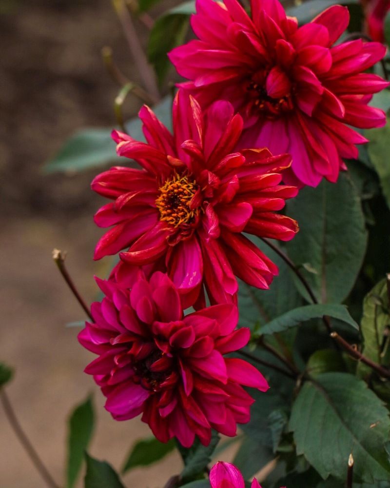 Photograph by Елена Ковалева