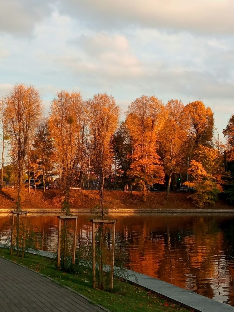 Photograph by Елена Титарева