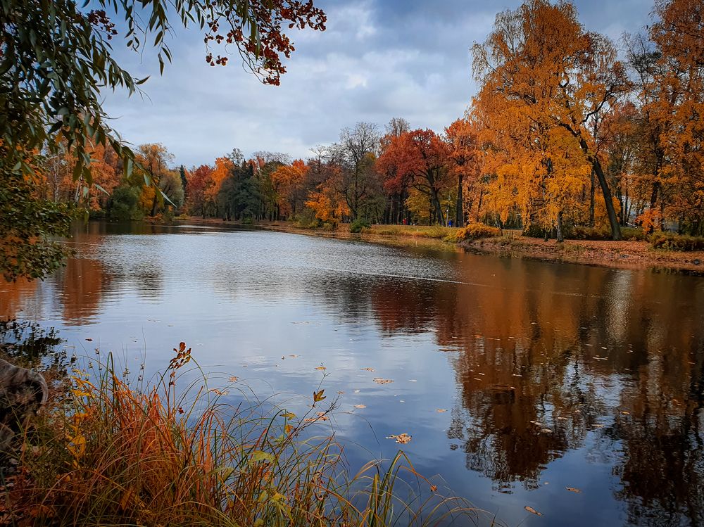 Осень- красивая пора.