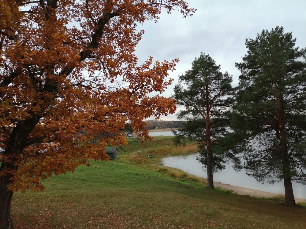 Photograph by Галина Смирнова