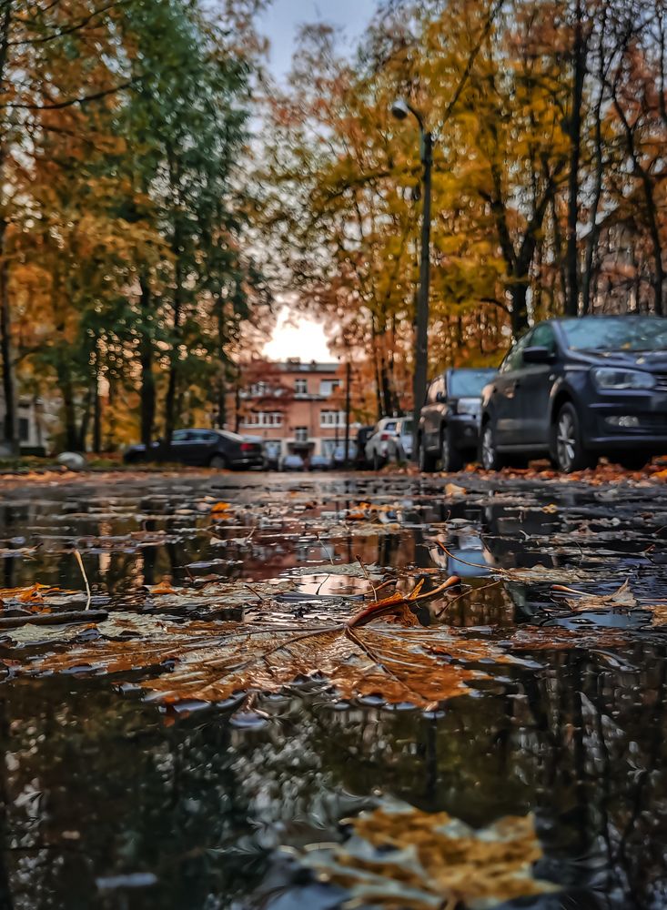 Photograph by Виктория Федосеенко