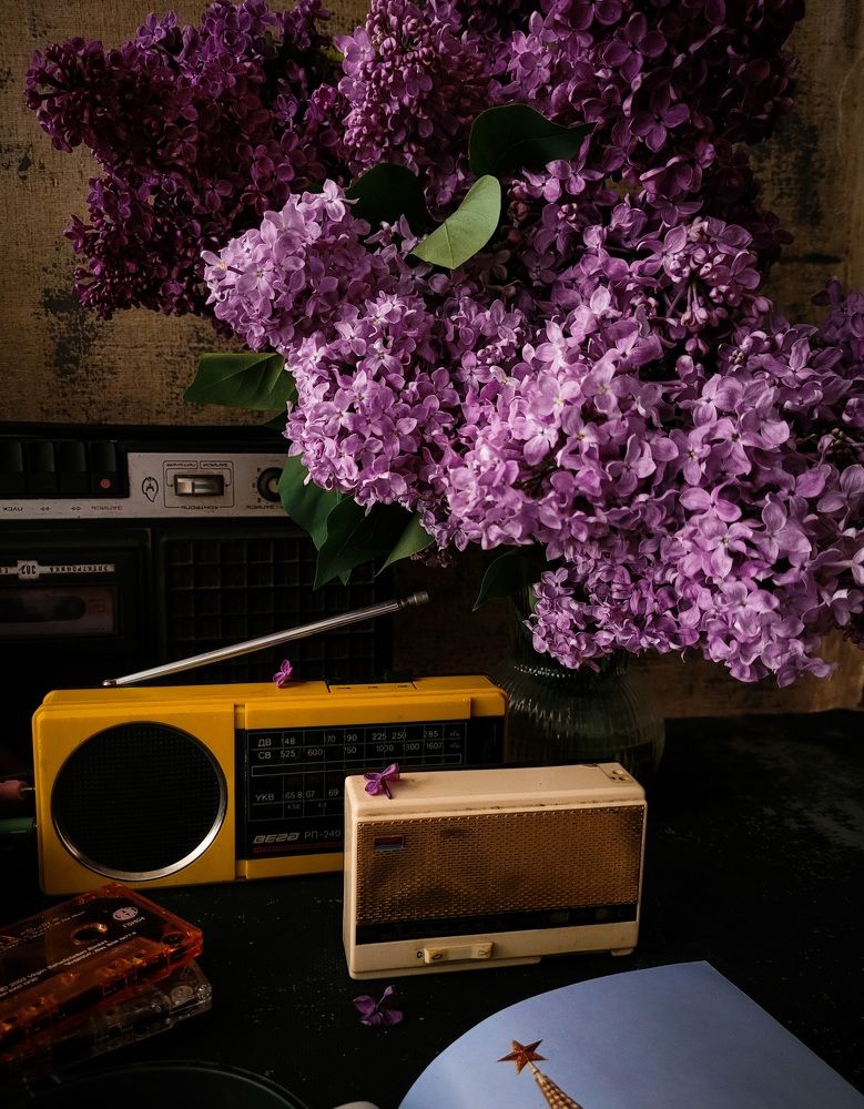 Photograph by Юлия Сусула