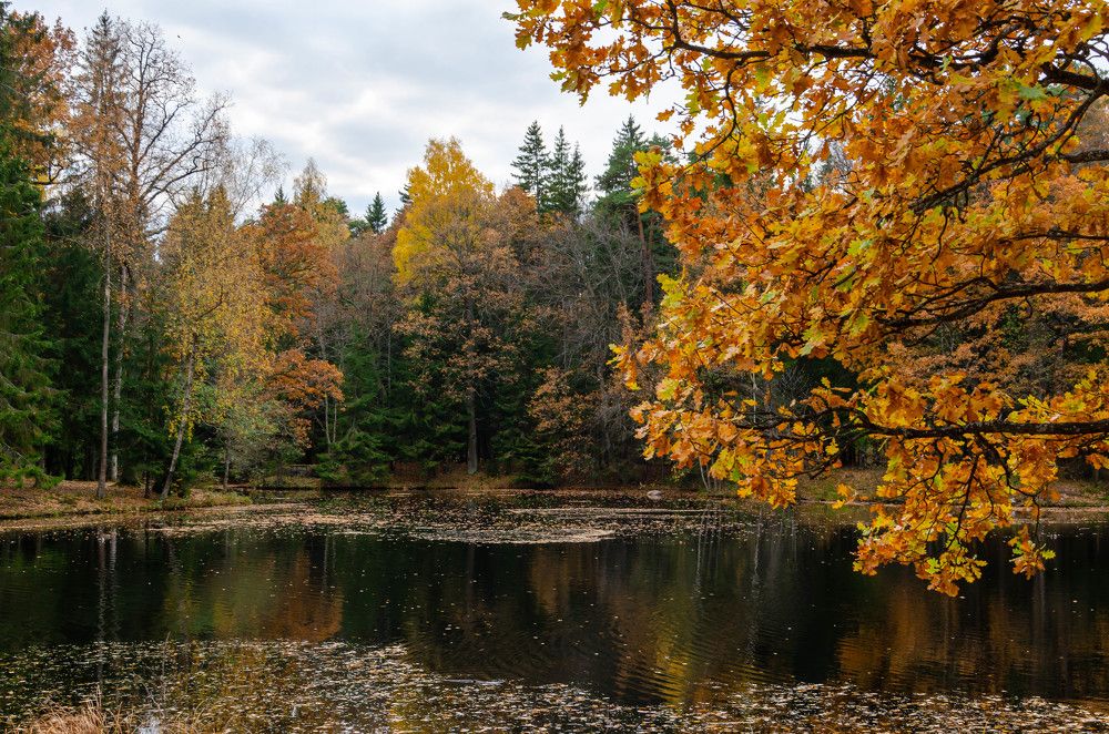 Photograph by Irina Rudneva