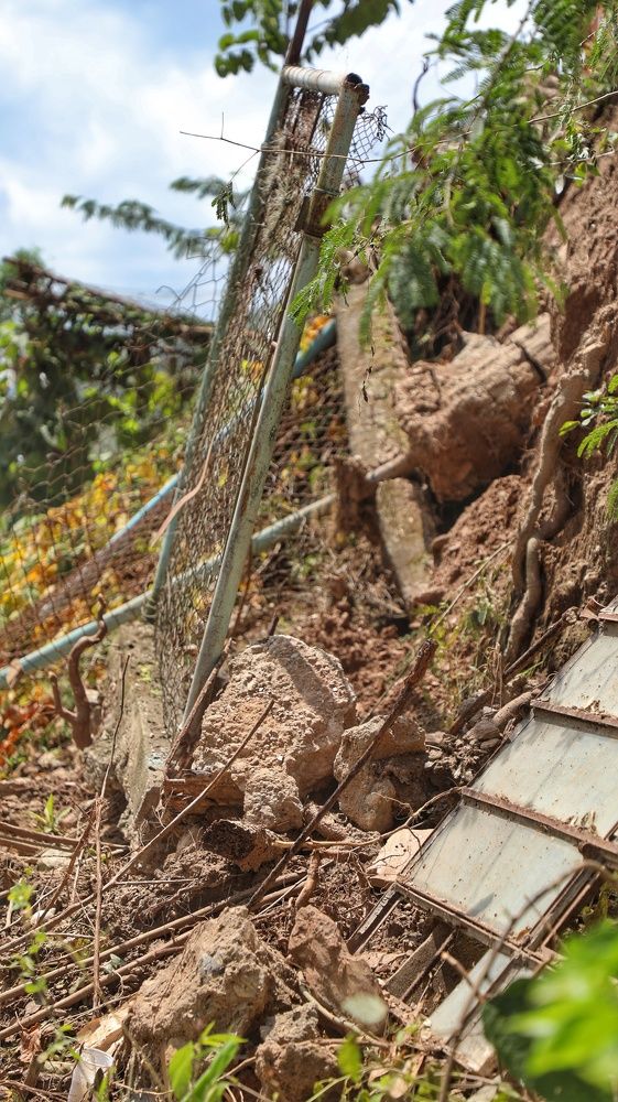 Photograph by Colmenarez nileydi