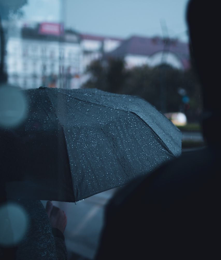 Фотография автора Amir H. Bakhtiari