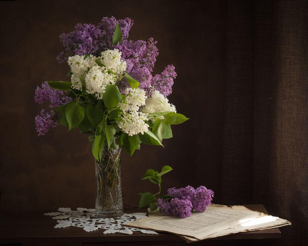 Photograph by Хвойнова Елена