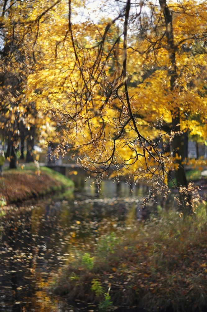 Photograph by Лариса Торопченкова