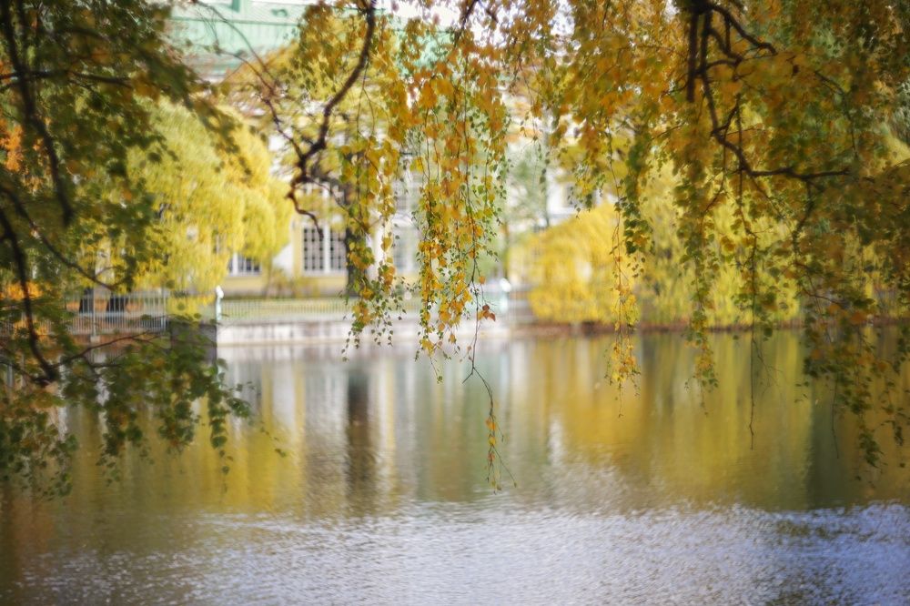 Photograph by Лариса Торопченкова