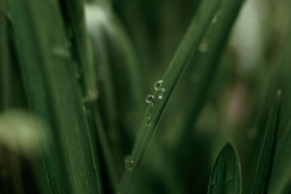 Photograph by Евгения Кинжакова