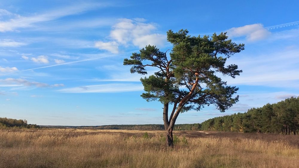 Photograph by Ирина Никульча