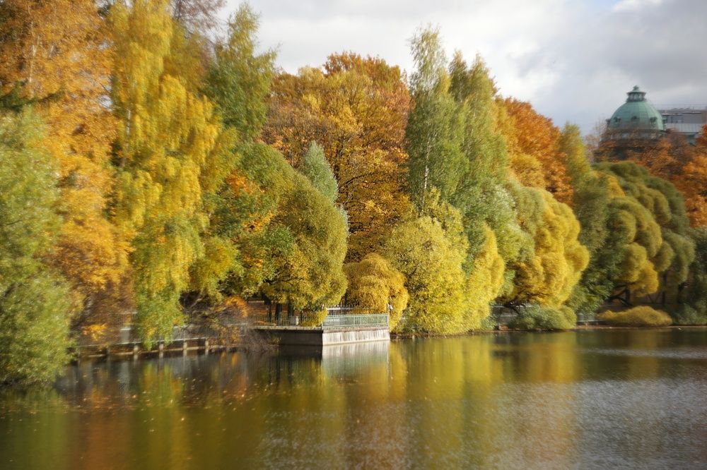 Photograph by Лариса Торопченкова