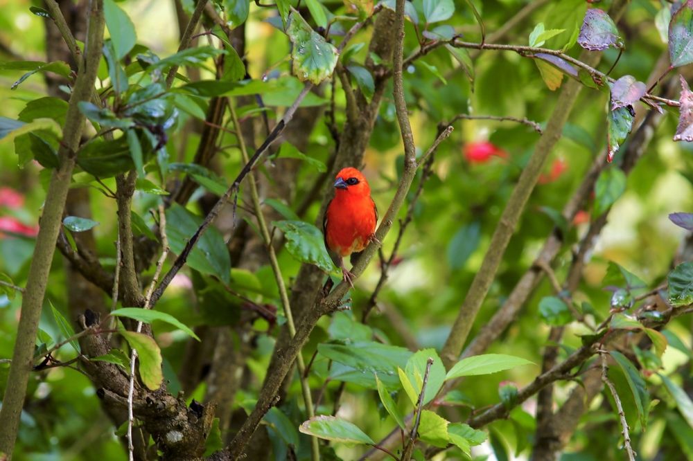 Photograph by Елена Ковалева