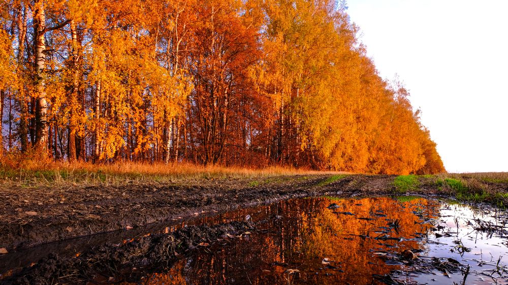 Photograph by Александр Елизаров