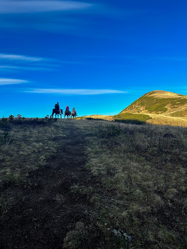 Photograph by Анжела Шибаева