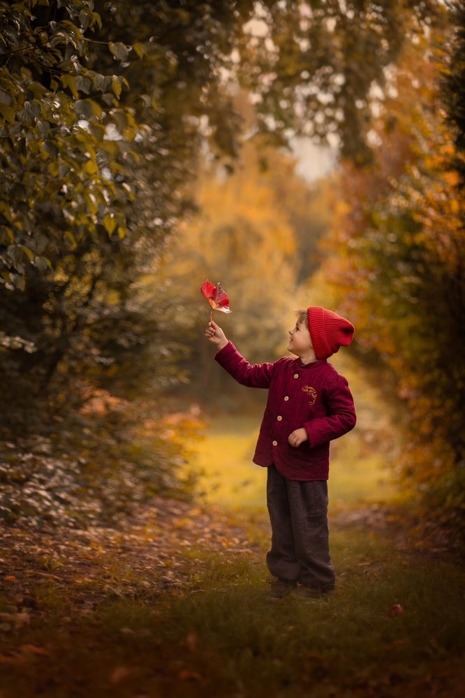 Photograph by Елена Мохонь