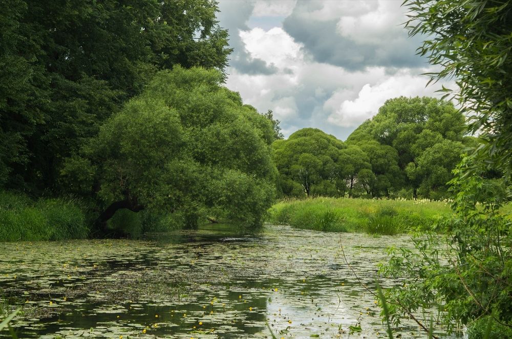 Photograph by Кира Орлова