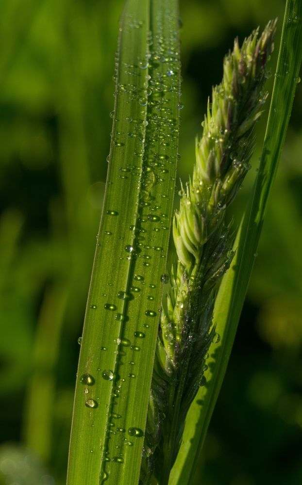 Photograph by Кира Орлова