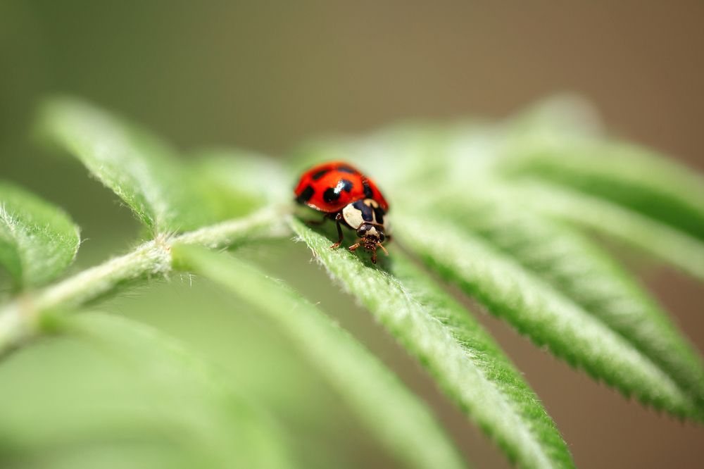 Photograph by Анастасия Петрова