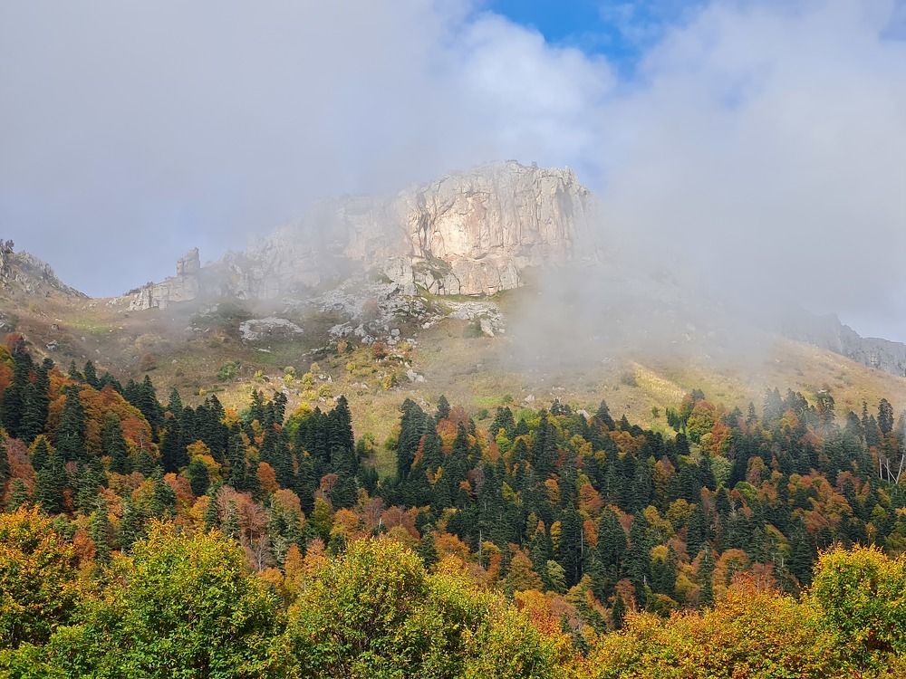 Photograph by Надежда Варфоломеева