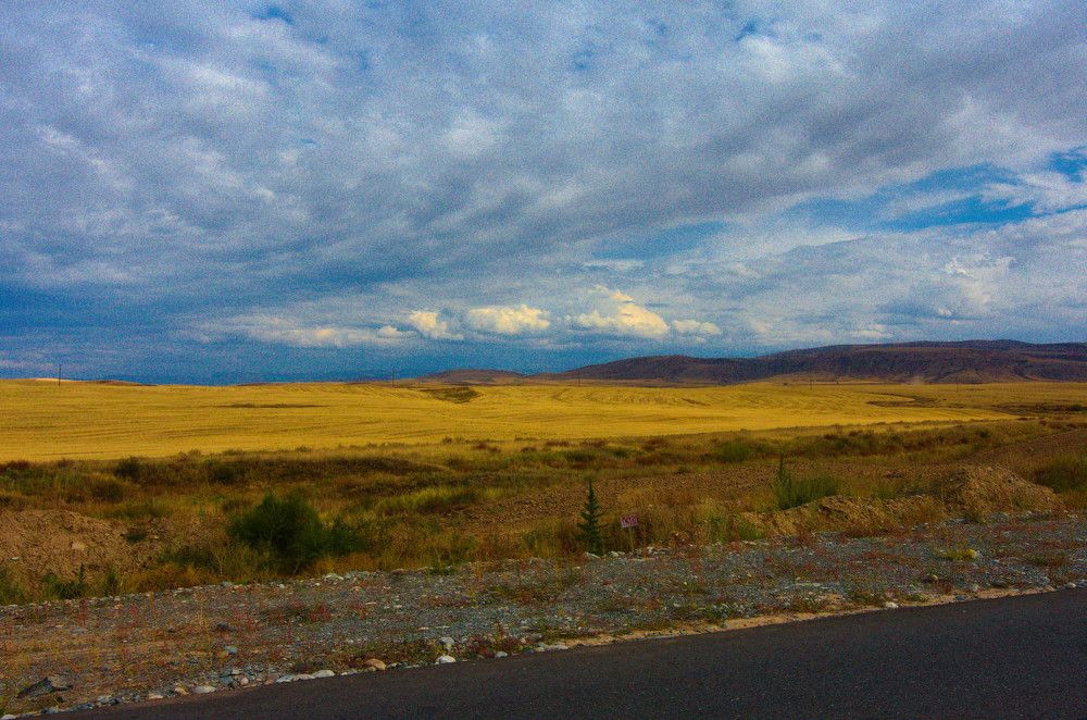 Photograph by Marina Weiland