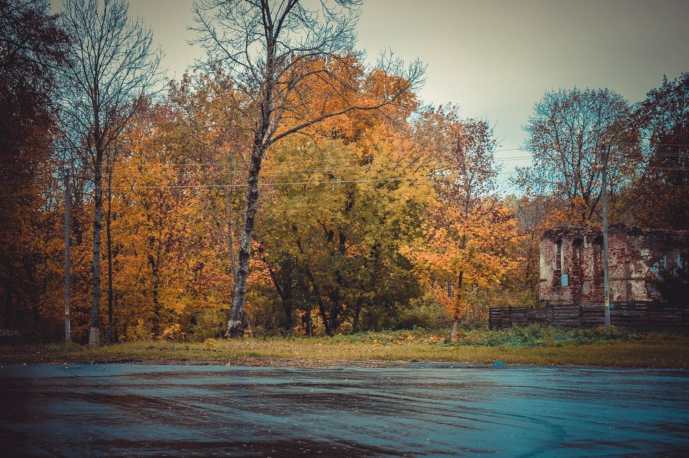 Photograph by Ольга Жаркова