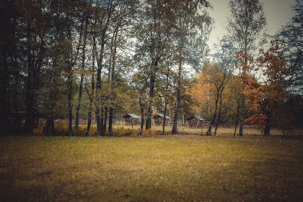 Photograph by Ольга Жаркова