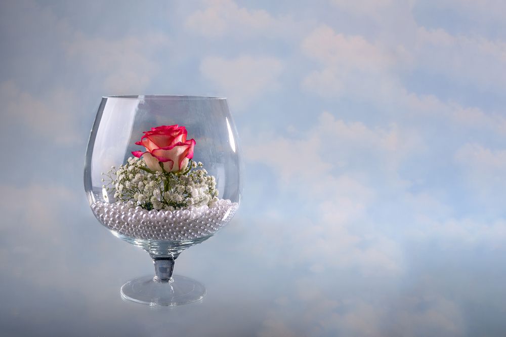 Photograph by Людмила Нехоца